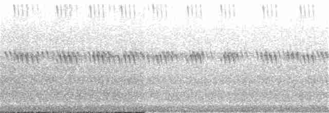 Prairie Warbler - ML240113501