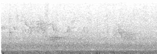 Prairie Warbler - ML240114401