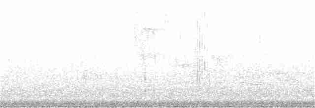 Каролинский крапивник - ML240117711