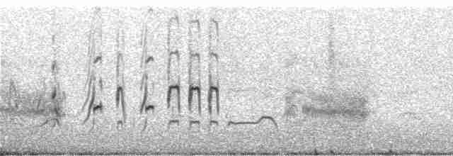 ארנריה אדמונית - ML240141