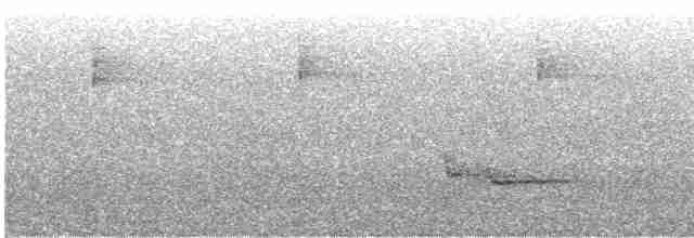 Трясогузковый певун - ML240160331