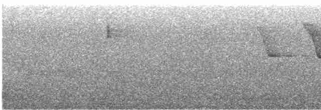 Трясогузковый певун - ML240160341