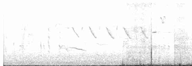 Western Subalpine Warbler - ML240166561