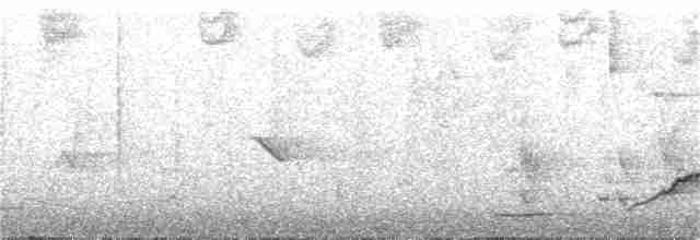 Перепелиця чорногорла - ML240190001