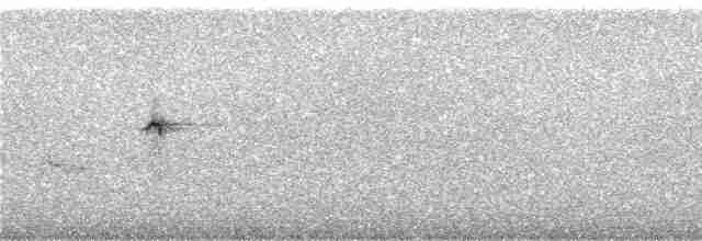 Кам’янка звичайна (підвид oenanthe/libanotica) - ML240196