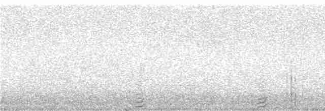 Тундровая куропатка - ML240198