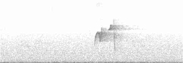 Acadian Flycatcher - ML240204091