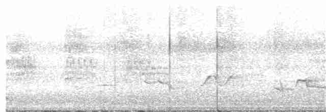 歐洲椋鳥 - ML240209181