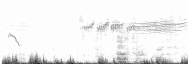 דרורית קצרת-אצבעות - ML240216471