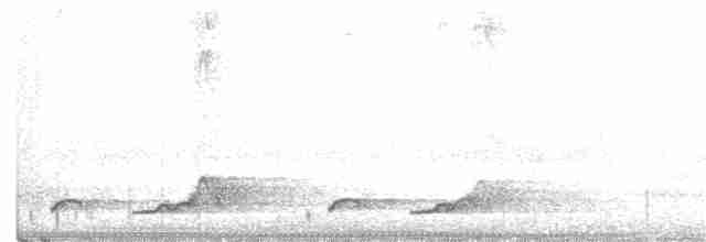 Schwarzkehl-Nachtschwalbe - ML240224261
