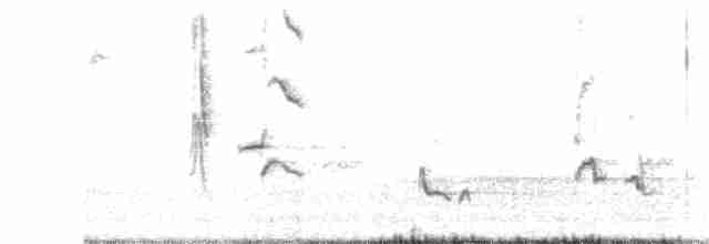 Gray Catbird - ML240226761