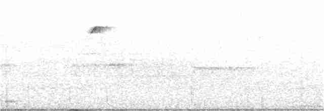 Бурый соловьиный дрозд - ML240235121