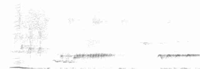 Beyaz Belli Şama - ML240238361