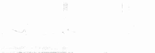 Crested Lark - ML240251121