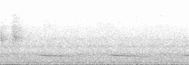 Белохвостая индига - ML240259051