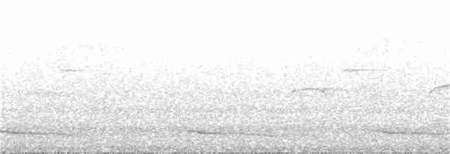 Белохвостая индига - ML240259801