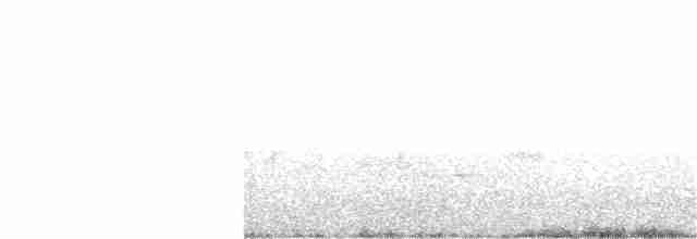 黑冠椋鳥 - ML240278761