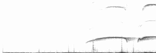 Tufted Antshrike - ML240281471