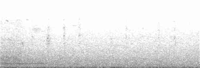Least Tern - ML240282651