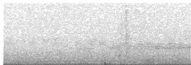 Дереволаз плоскодзьобий - ML240334901