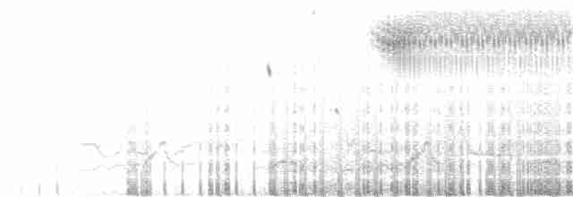 Кузнечиковая овсянка-барсучок - ML240347771