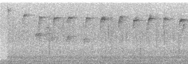 Reinita Citrina (striaticeps) - ML240350