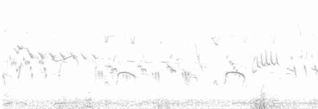 Eurasian Oystercatcher - ML240361561