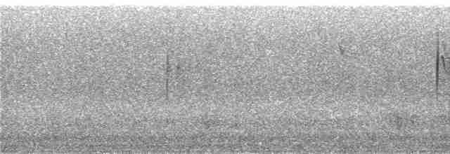 Светлокрылая трясохвостка - ML240364