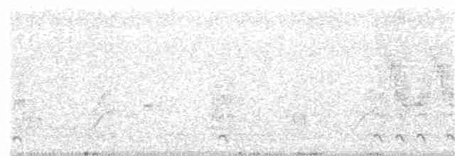 Rousserolle effarvatte - ML240380101