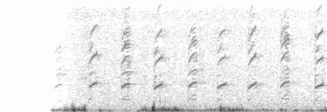 Кулик-довгоніг чорнокрилий - ML240380181