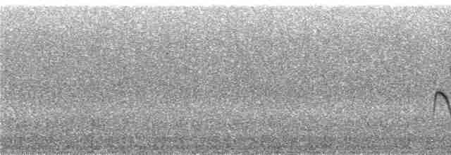Землекоп андійський - ML240382