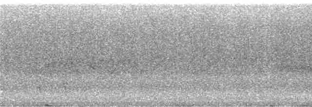 Tangara de Rieffer - ML240393