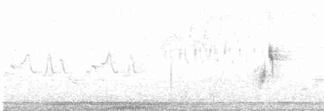 Ивовый мухолов (traillii) - ML240393011