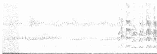 Серогрудый тиранн - ML240408951