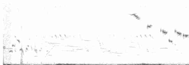 Baird Serçesi - ML240410681