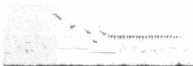 Baird Serçesi - ML240410761