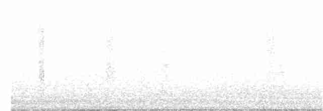 kalypta rubínohrdlá - ML240412961