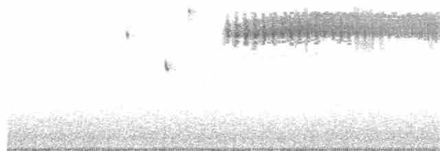 Çekirge Sesli Çayır Serçesi - ML240415011
