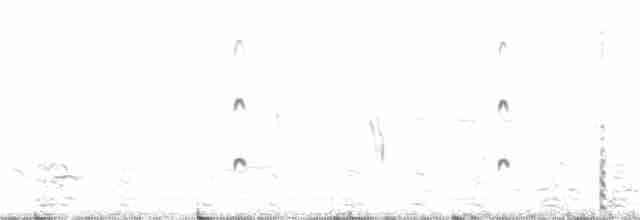 Arctic Tern - ML240417181
