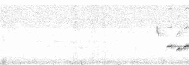 Золотомушка рубіновочуба - ML240419541