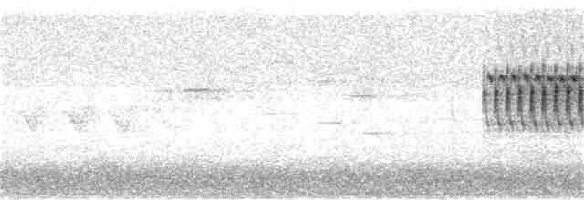 Kara Gözlü Junko - ML240419591