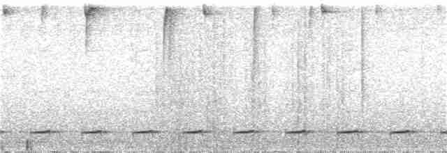 Сичик-горобець андійський - ML24042671