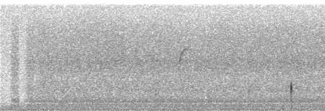 Swallow-tailed Nightjar - ML240429