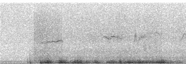 luněc drobný - ML240465