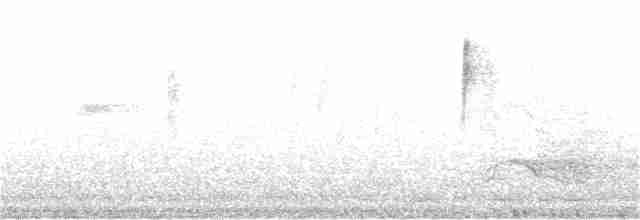Какатоїс жовтохвостий - ML240469591