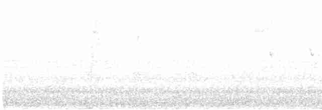 Длиннохвостый крапивник - ML240499031