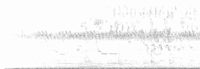 Western Meadowlark - ML240516351