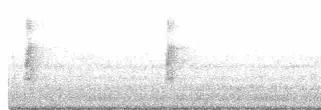 Great Spotted Woodpecker - ML240520791