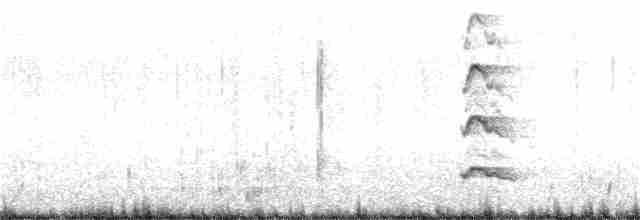 Küt Kuyruklu Korsanmartı - ML240524661