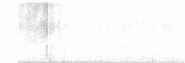 Golden-hooded Tanager - ML240525281